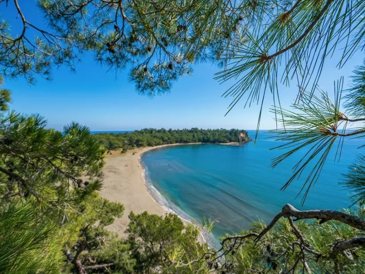 Phaselis Koyu