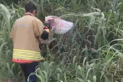 Hatay’da sıcaklar yılanları uyandırdı: Evlere giren davetsiz misafirleri itfaiye yakaladı