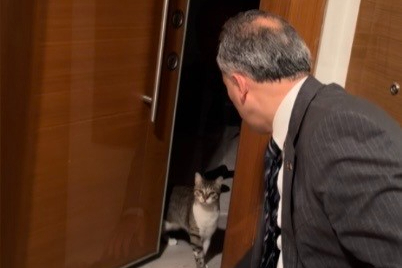 Başkan Çenet anahtarı arabada unuttu:Osmaniye’de akıllı kedi "Fred" kapıyı açtı
