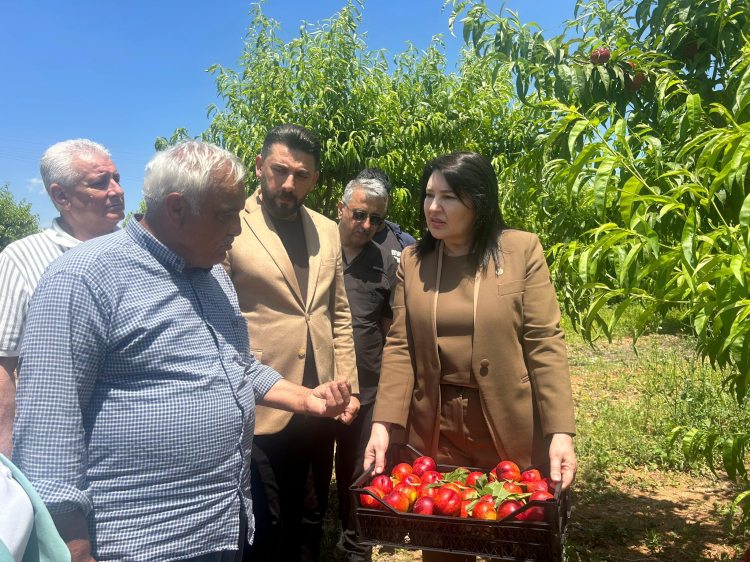 Sunay Karamık Adana’da üreticilerin taleplerini dinledi