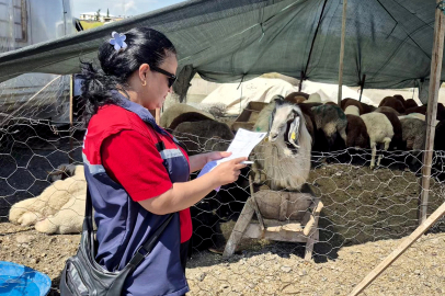 Bayrama günler kala denetimler sıkılaştı: Pazarlar tek tek kontrol ediliyor