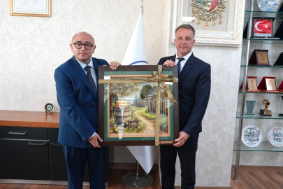 Erdemli Belediyesi Romanya’nın Braila kentiyle kardeş oldu