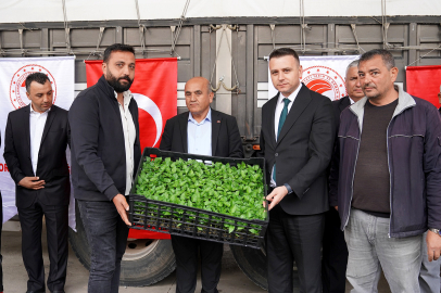 Osmaniye’de üreticilere büyük hibe: Yüz binlerce fide dağıtıldı