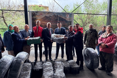 "Çileğin gözdesi Çamardı" hedefi: Niğde'de üreticilere dev fide desteği