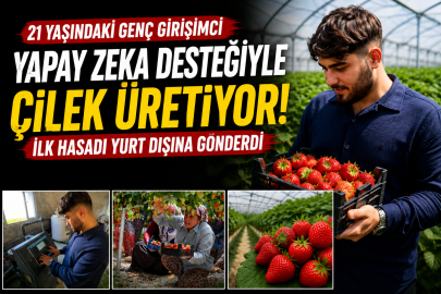 Hatay’da 21 yaşındaki gençten büyük başarı! Yapay zekayla ürettiği çilekleri yurt dışına gönderiyor