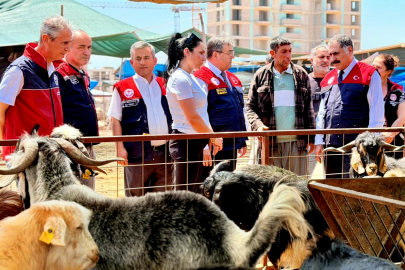 Kurban Bayramı öncesi sahada yoğun mesai: Nokta nokta denetim yapıldı