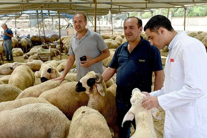 Kurban Bayramı öncesi Adana’da ücretsiz kesim noktaları belirlendi