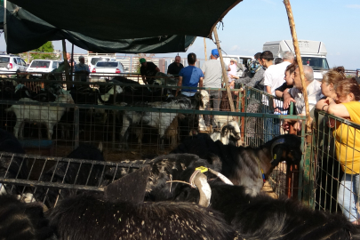 Mersin'de kurban pazarlarında kıran kırana pazarlık: Küçükbaş 15, büyükbaş 140 bin liradan başlıyor