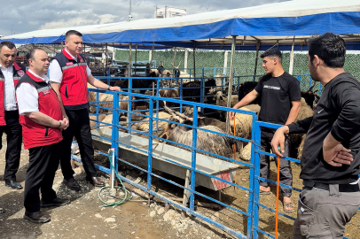 Veterinerler sahada: 36 bin araç, 4 milyondan fazla kurbanlık kontrolden geçti