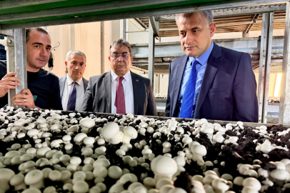 Dev hibe desteğiyle kuruldu: Kadınlara istihdam kapısı açıldı