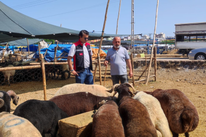 Adana’da kurbanlık satış noktalarında hayvan sağlığı ve hijyen kontrolleri aralıksız devam ediyor