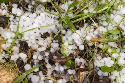 Mersin'de dolu yağışı etkili oldu