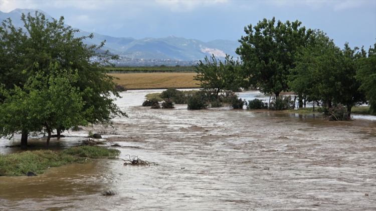 hatay