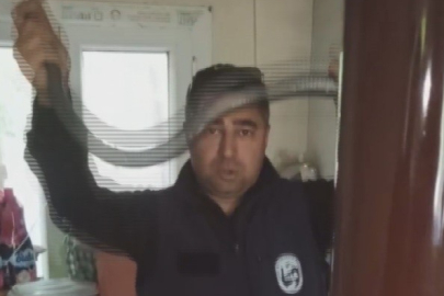 Hatay’da Yılancı Kemal’den karayılana nasihat: İnsanlardan uzak dur