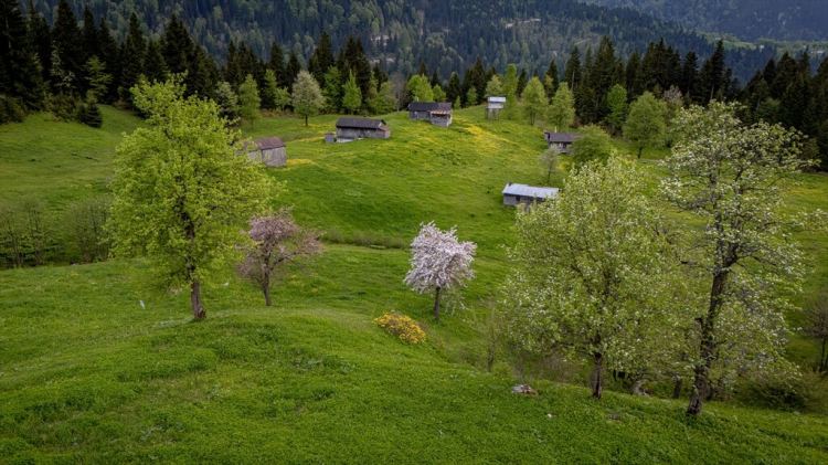 karadeniz