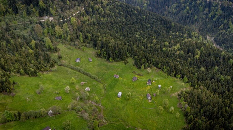 trabzon