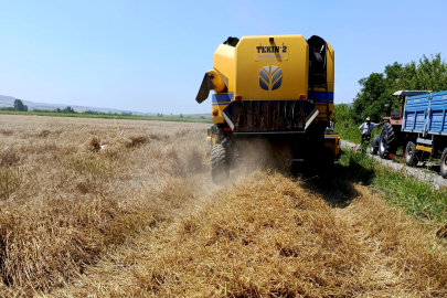 Çiftçinin büyük mesaisi başladı: Buğday tarlalarında hasat heyecanı