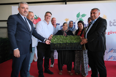 Aladağ’da 400 bin domates fidesi üreticiyle buluştu