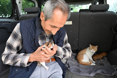 Aracının bagajında doğum yaptı! Emekli öğretmen kedi ailesine sahip çıktı