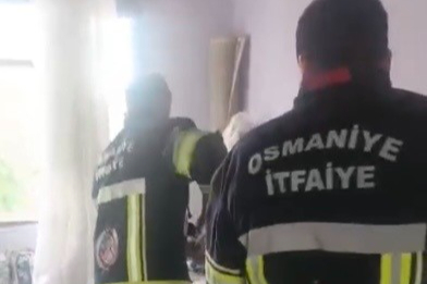 Osmaniye'de yatak ve halıların arasına saklanan yılanı itfaiye buldu