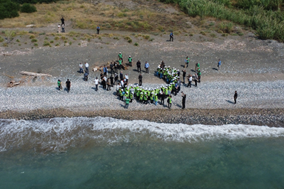 Mersin Akdeniz'de yaşam savaşı başladı: Mersin kumsallarında ilk Caretta Caretta yuvaları tescillendi