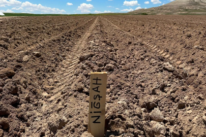 Niğde Patates Araştırma Enstitüsü'nden dev hamle: Süper elit mini yumru dikimi yapıldı