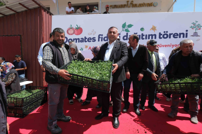 Aladağ’da 400 bin, Tufanbeyli ve Feke’de 100’er bin domates fidesi üreticiyle buluştu