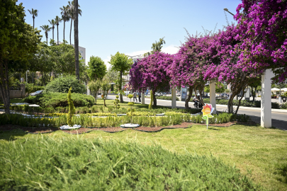 Mersin'i yaz çiçekleri süslüyor