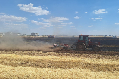 Mardin'de 80 dönüm buğday ekili alan küle döndü