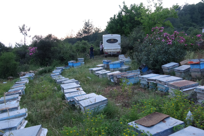 Kozanlı arıcıların Kayseri yaylalarına bal yolculuğu başladı