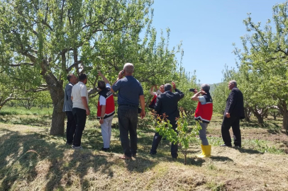 Niğde'de Dolu ve Sağanak Yağış Tarım Arazilerini Vurdu: Hasar Tespit Çalışmaları Başladı