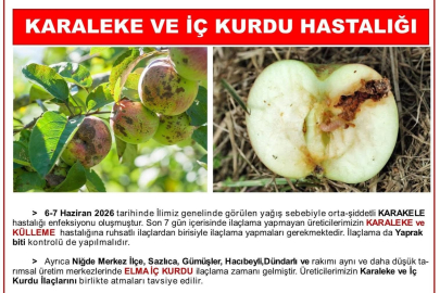Niğde'de elma üreticilerine 'karaleke' ve 'iç kurdu' uyarısı