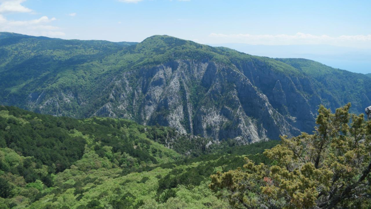 KAZ DAĞLARI ( BALIKESİR- ÇANAKKALE)