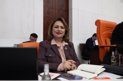 Dr. Şevkin: Filmlere konu olan Adana, hak ettiği değeri görmüyor