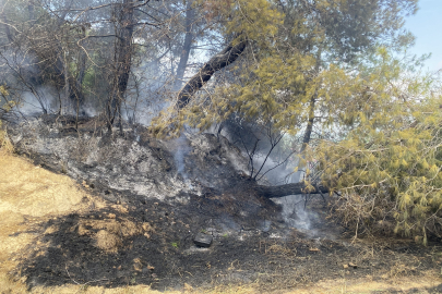 Antalya'da ormanlık alandaki yangın büyümeden söndürüldü