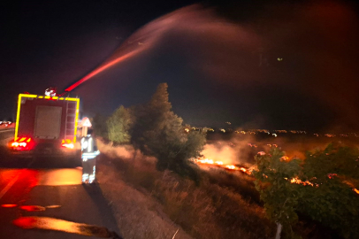 Hatay'da anız yangını zeytinliğe sıçradı: 200 dönüm arazi zarar gördü