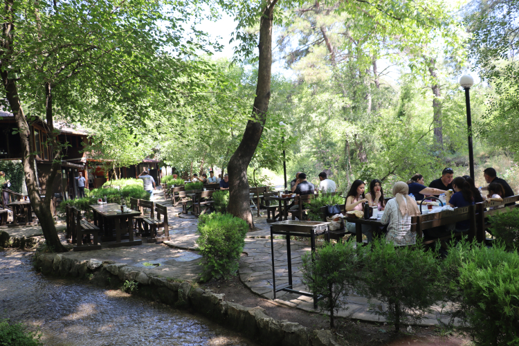 adana
