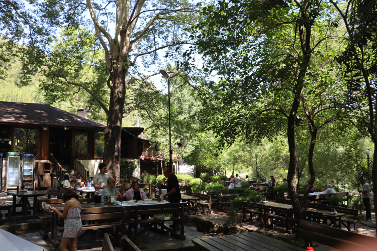 dağılcak tabiat parkı