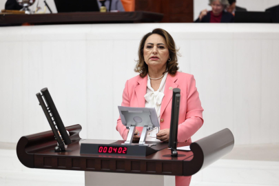 CHP Adana Milletvekili Dr. Şevkin Adana’nın sorunlarını meclise taşıdı