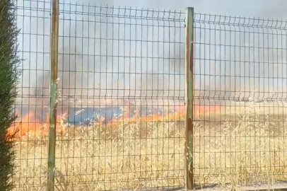 Şanlıurfa’da ekiplerin hızlı müdahalesi olası faciayı önledi