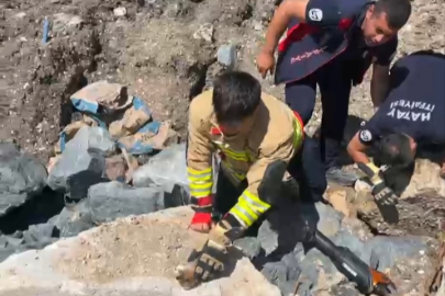 Anne kedi yavruları kurtarılana kadar ekiplerin başında bekledi