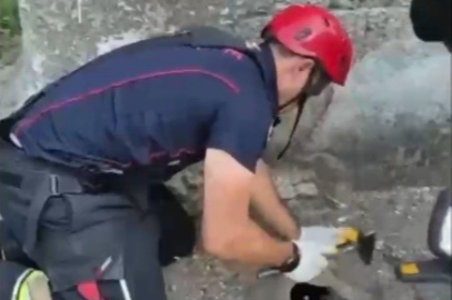 Osmaniye’de kuyuya düşen yavru kedi kurtarıldı