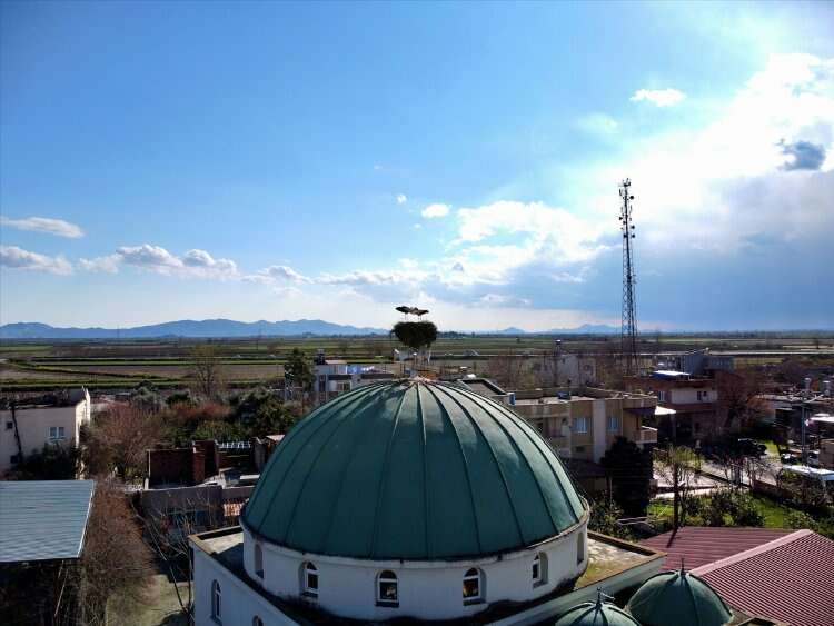 Sakarcalık Köyü Camisi'nin minaresi
