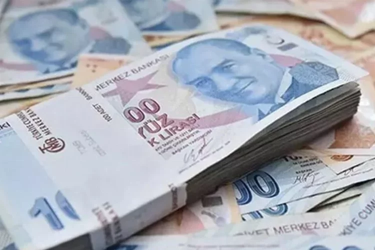 Adana'da bal üreticilerine devletten 25 milyon lira destek