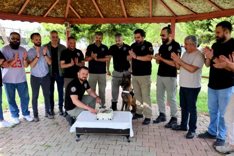 Adana'da narkotik dedektör köpeği Hulk'un 7'nci yaş günü pasta kesilerek kutlandı