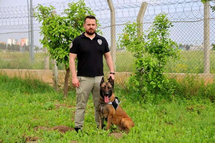 Adana'da narkotik dedektör köpeği Hulk'un 7'nci yaş günü pasta kesilerek kutlandı 4