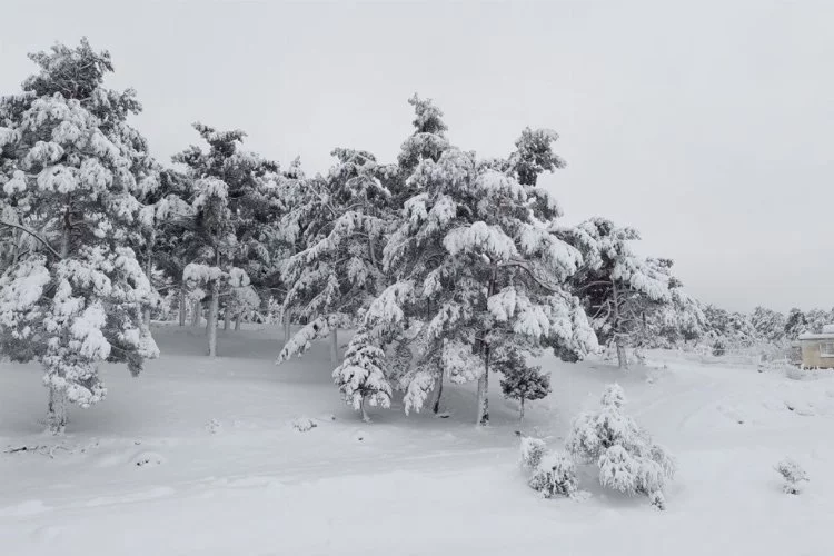 Adana ve Mersin'in yüksek kesimlerinde kar yağışı etkili oluyor