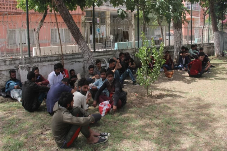 Adana'da 57 kaçak  göçmen yakalandı