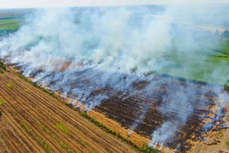 Adana’da anız yangınları kenti dumana boğuyor