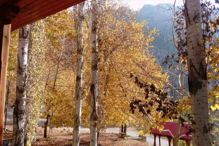 Adana'daki Obruk Şelalesi Tabiat Parkı sonbahar renklerine büründü